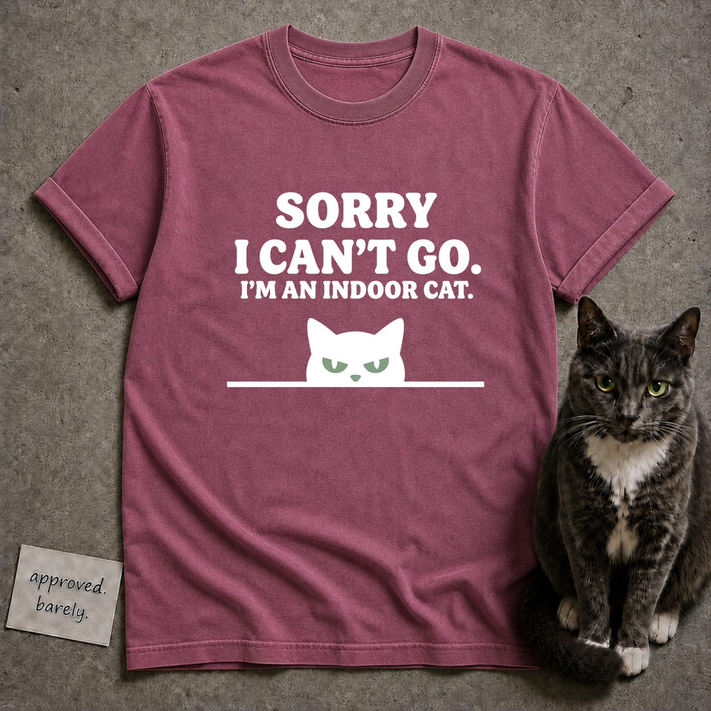 Sorry I Can’t Go I’m An Indoor Cat Tee