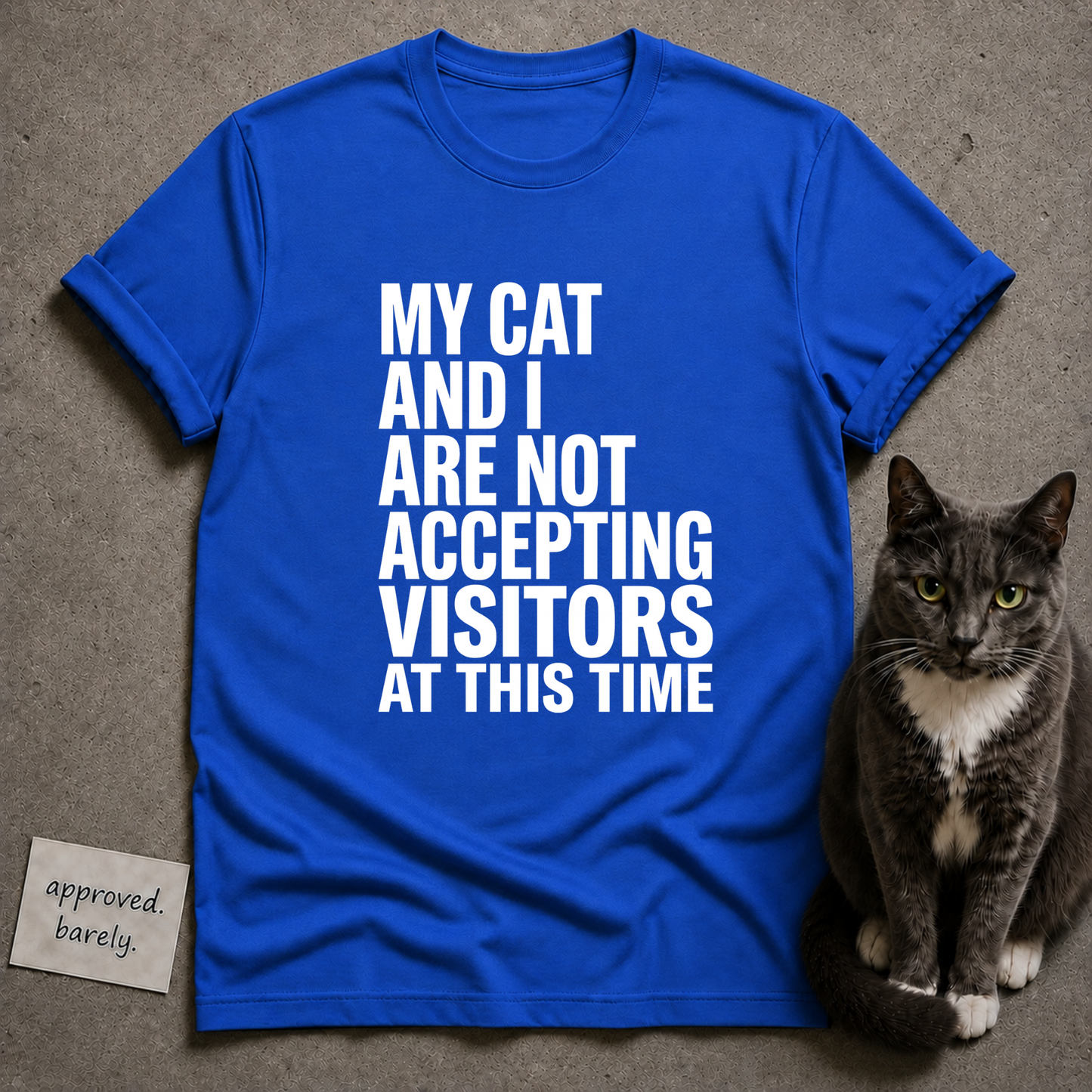 My Cat And I Are Not Accepting Visitors Tee