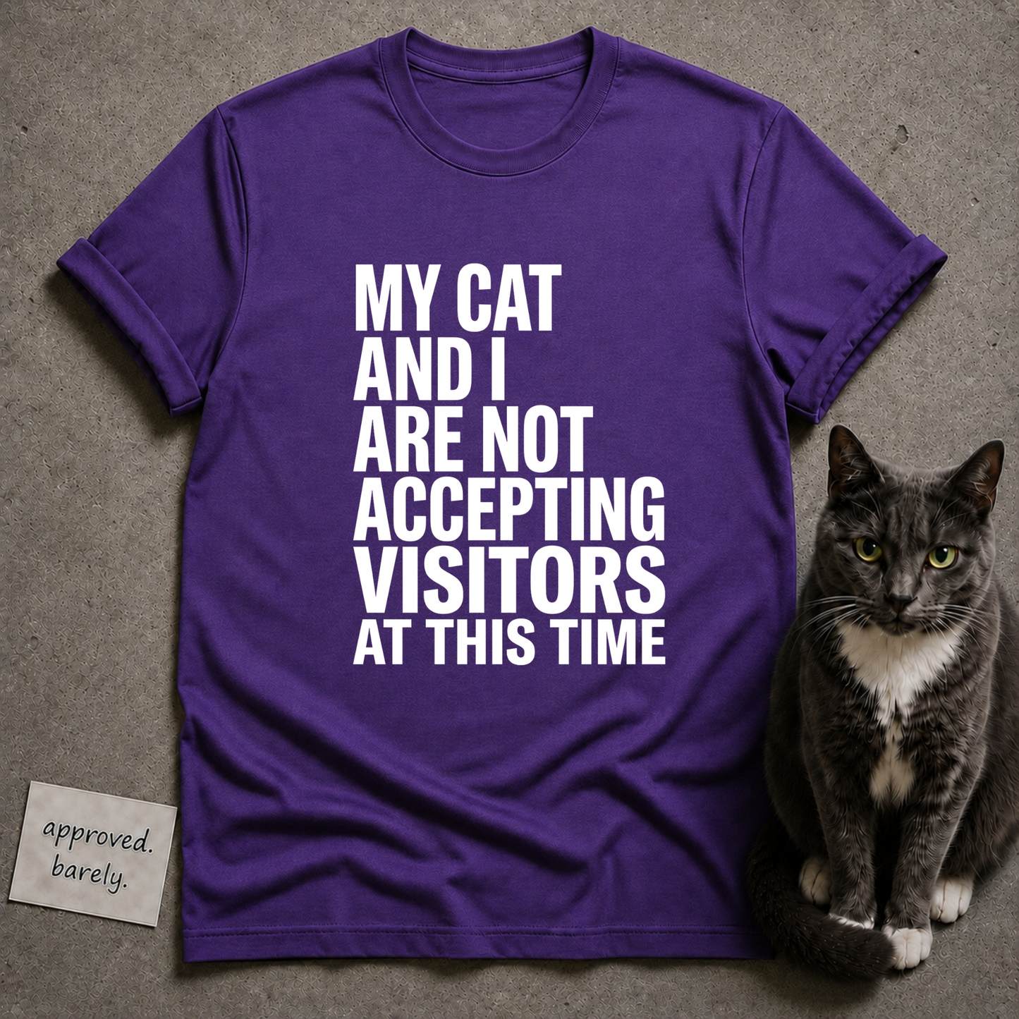 My Cat And I Are Not Accepting Visitors Tee