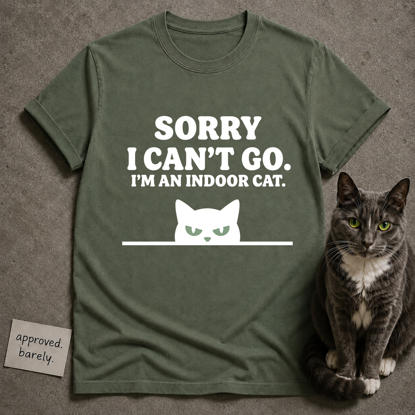 Sorry I Can’t Go I’m An Indoor Cat Tee