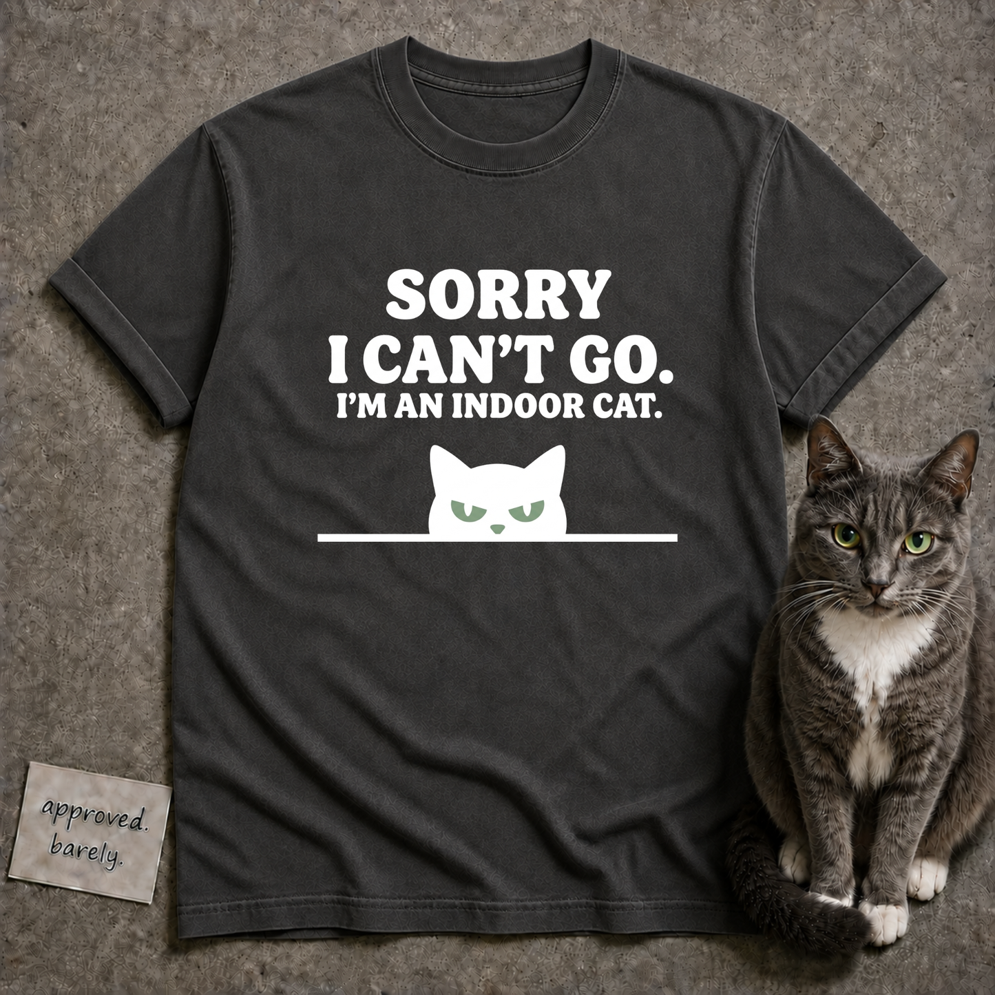 Sorry I Can’t Go I’m An Indoor Cat Tee