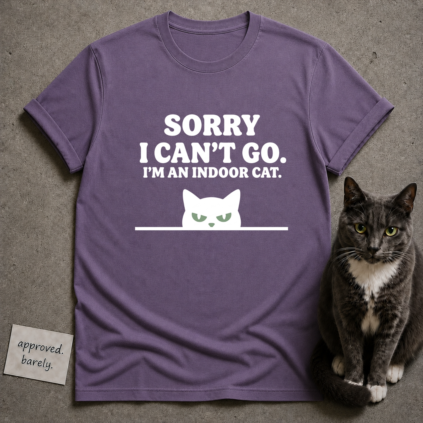Sorry I Can’t Go I’m An Indoor Cat Tee