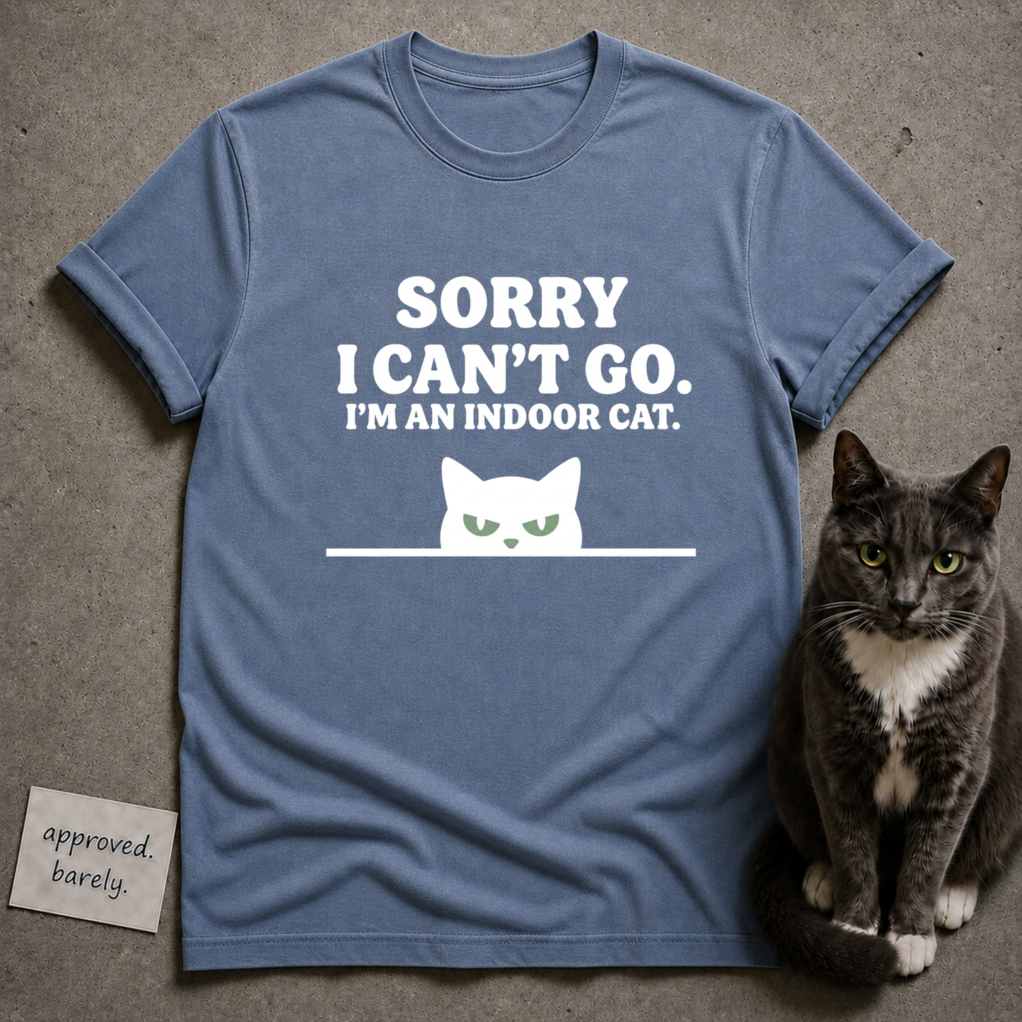 Sorry I Can’t Go I’m An Indoor Cat Tee